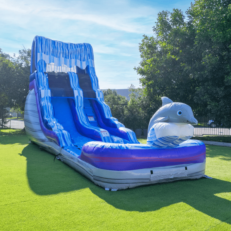 Dolphin Water Slide 15 ft